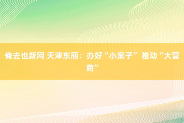 俺去也新网 天津东丽：办好“小案子” 推动“大营商”