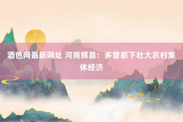 酒色网最新网址 河南辉县：多管都下壮大农村集体经济