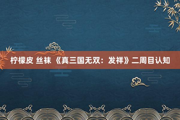 柠檬皮 丝袜 《真三国无双：发祥》二周目认知