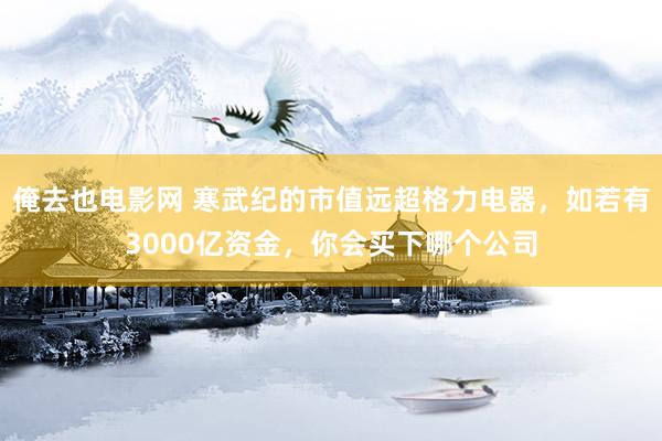 俺去也电影网 寒武纪的市值远超格力电器，如若有3000亿资金，你会买下哪个公司