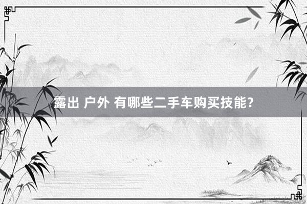 露出 户外 有哪些二手车购买技能？