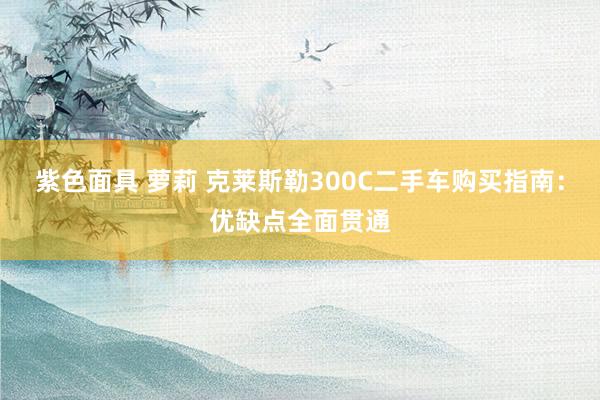 紫色面具 萝莉 克莱斯勒300C二手车购买指南：优缺点全面贯通