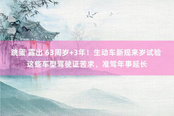 跳蛋 露出 63周岁+3年！生动车新规来岁试验 这些车型驾驶证苦求、准驾年事延长