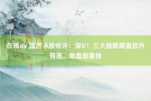 在线av 国产 A股收评：深V！三大指数尾盘拉升转涨，微盘股重挫