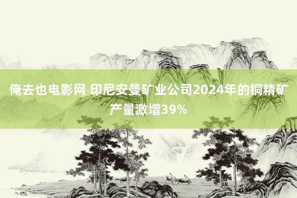 俺去也电影网 印尼安曼矿业公司2024年的铜精矿产量激增39%