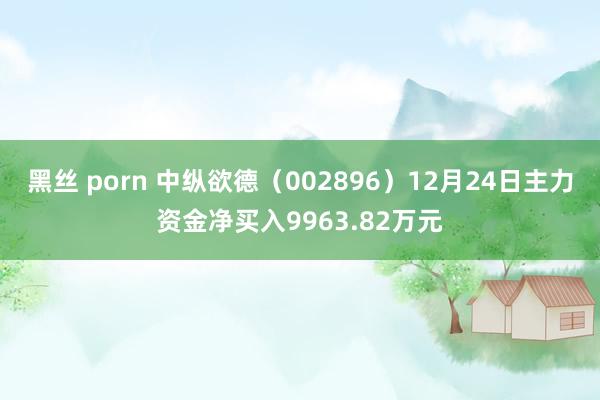 黑丝 porn 中纵欲德（002896）12月24日主力资金净买入9963.82万元