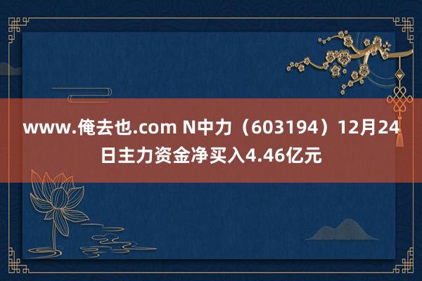 www.俺去也.com N中力（603194）12月24日主力资金净买入4.46亿元