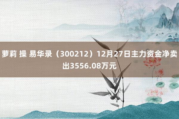 萝莉 操 易华录（300212）12月27日主力资金净卖出3556.08万元