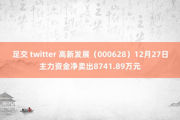足交 twitter 高新发展（000628）12月27日主力资金净卖出8741.89万元