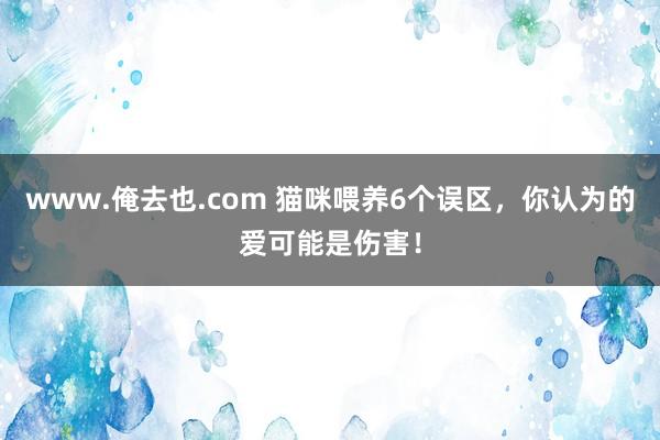 www.俺去也.com 猫咪喂养6个误区，你认为的爱可能是伤害！