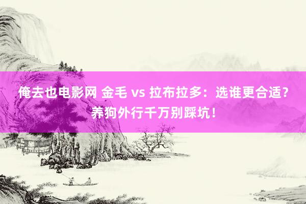 俺去也电影网 金毛 vs 拉布拉多：选谁更合适？养狗外行千万别踩坑！