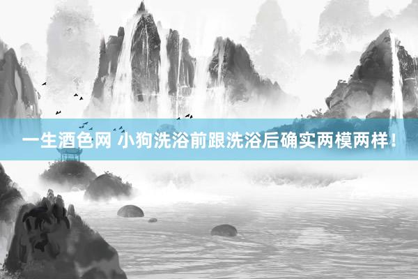 一生酒色网 小狗洗浴前跟洗浴后确实两模两样！