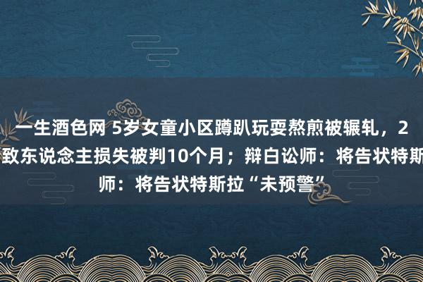 一生酒色网 5岁女童小区蹲趴玩耍熬煎被辗轧，26岁车主舛错致东说念主损失被判10个月；辩白讼师：将告状特斯拉“未预警”
