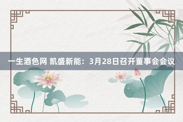 一生酒色网 凯盛新能：3月28日召开董事会会议