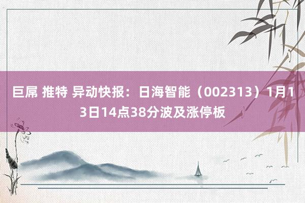 巨屌 推特 异动快报：日海智能（002313）1月13日14点38分波及涨停板