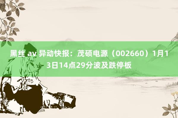 黑丝 av 异动快报：茂硕电源（002660）1月13日14点29分波及跌停板