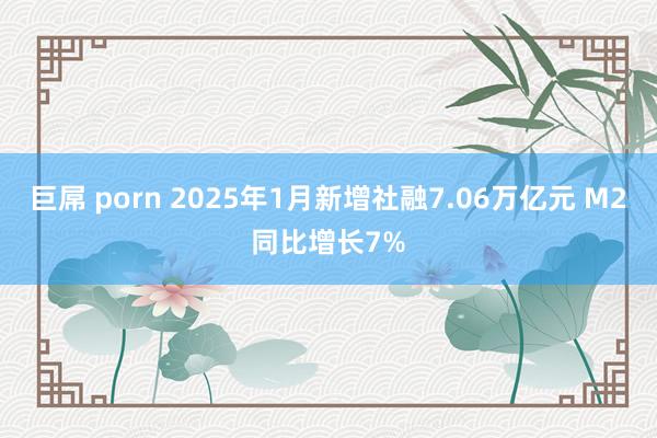巨屌 porn 2025年1月新增社融7.06万亿元 M2同比增长7%
