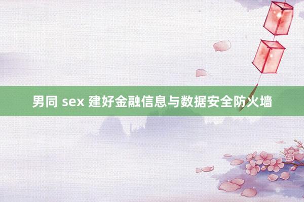 男同 sex 建好金融信息与数据安全防火墙