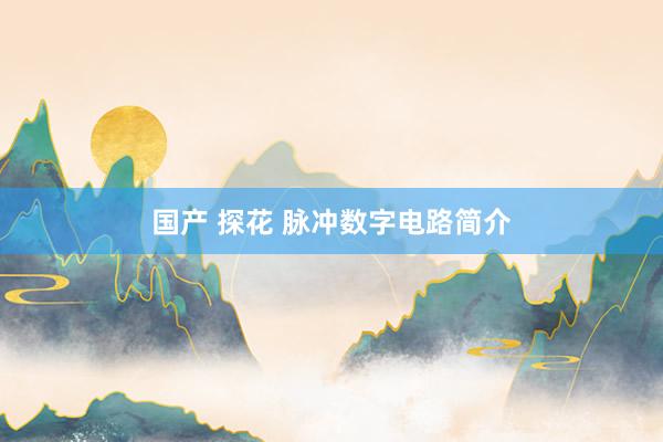 国产 探花 脉冲数字电路简介
