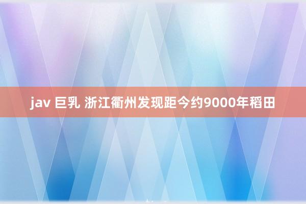 jav 巨乳 浙江衢州发现距今约9000年稻田
