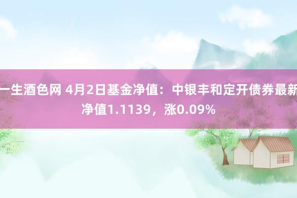 一生酒色网 4月2日基金净值：中银丰和定开债券最新净值1.1139，涨0.09%