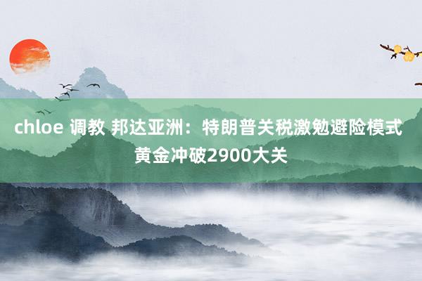 chloe 调教 邦达亚洲：特朗普关税激勉避险模式 黄金冲破2900大关