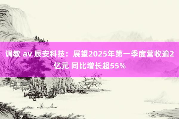 调教 av 辰安科技：展望2025年第一季度营收逾2亿元 同比增长超55%