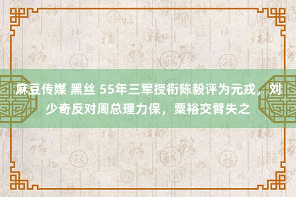 麻豆传媒 黑丝 55年三军授衔陈毅评为元戎，刘少奇反对周总理力保，粟裕交臂失之
