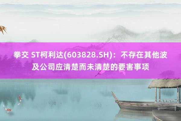 拳交 ST柯利达(603828.SH)：不存在其他波及公司应清楚而未清楚的要害事项