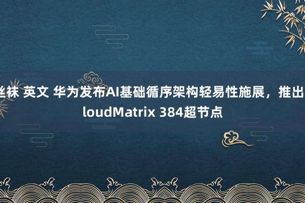 丝袜 英文 华为发布AI基础循序架构轻易性施展，推出CloudMatrix 384超节点