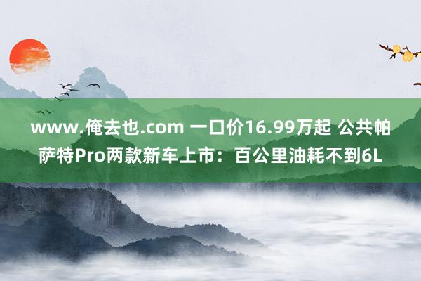 www.俺去也.com 一口价16.99万起 公共帕萨特Pro两款新车上市：百公里油耗不到6L