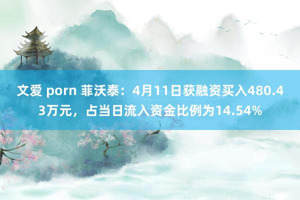 文爱 porn 菲沃泰：4月11日获融资买入480.43万元，占当日流入资金比例为14.54%