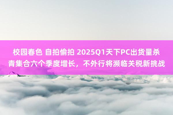 校园春色 自拍偷拍 2025Q1天下PC出货量杀青集合六个季度增长，不外行将濒临关税新挑战