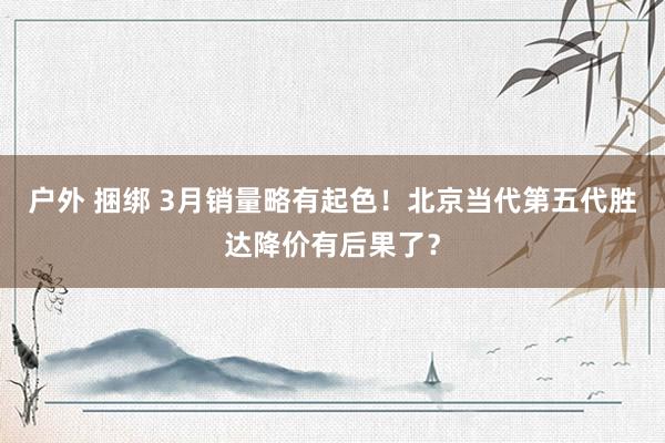 户外 捆绑 3月销量略有起色！北京当代第五代胜达降价有后果了？