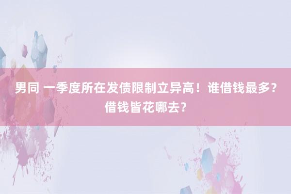 男同 一季度所在发债限制立异高！谁借钱最多？借钱皆花哪去？