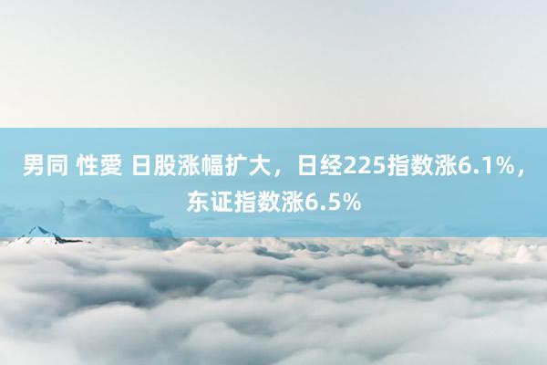 男同 性愛 日股涨幅扩大，日经225指数涨6.1%，东证指数涨6.5%