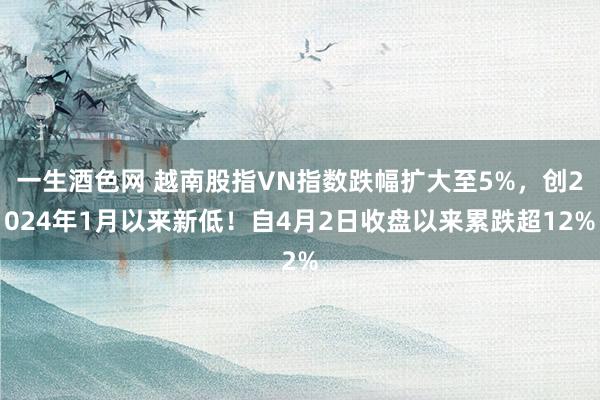 一生酒色网 越南股指VN指数跌幅扩大至5%，创2024年1月以来新低！自4月2日收盘以来累跌超12%