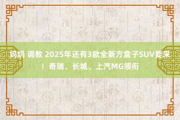 妈妈 调教 2025年还有3款全新方盒子SUV要来！奇瑞、长城、上汽MG领衔