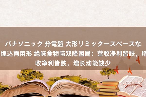 パナソニック 分電盤 大形リミッタースペースなし 露出・半埋込両用形 绝味食物陷双降困局：营收净利皆跌，增长动能缺少