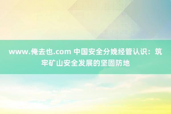 www.俺去也.com 中国安全分娩经管认识：筑牢矿山安全发展的坚固防地