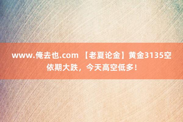 www.俺去也.com 【老夏论金】黄金3135空依期大跌，今天高空低多！
