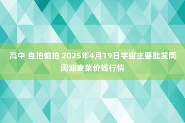 高中 自拍偷拍 2025年4月19日宇宙主要批发阛阓油麦菜价钱行情