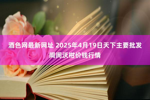 酒色网最新网址 2025年4月19日天下主要批发阛阓沃柑价钱行情