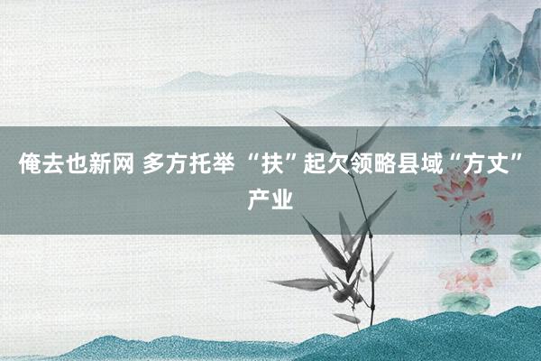 俺去也新网 多方托举 “扶”起欠领略县域“方丈”产业