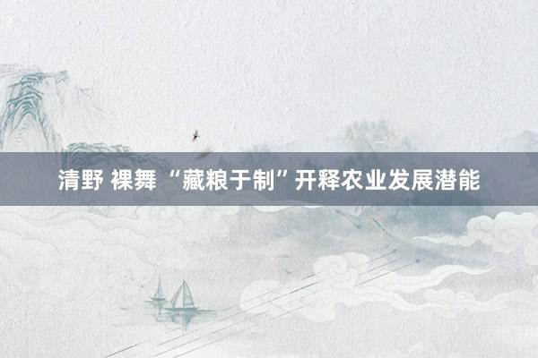清野 裸舞 “藏粮于制”开释农业发展潜能