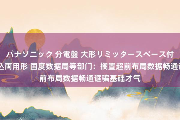 パナソニック 分電盤 大形リミッタースペース付 露出・半埋込両用形 国度数据局等部门：搁置超前布局数据畅通诓骗基础才气