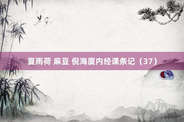 夏雨荷 麻豆 倪海厦内经课条记（37）