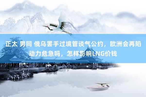 正太 男同 俄乌罢手过境管谈气公约，欧洲会再陷动力危急吗，怎样影响LNG价钱