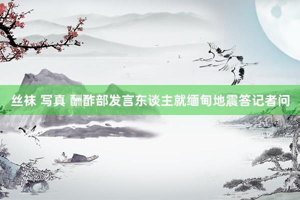 丝袜 写真 酬酢部发言东谈主就缅甸地震答记者问