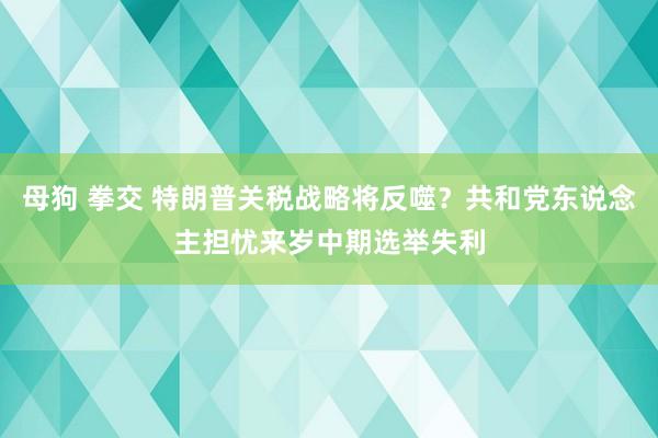 母狗 拳交 特朗普关税战略将反噬？共和党东说念主担忧来岁中期选举失利